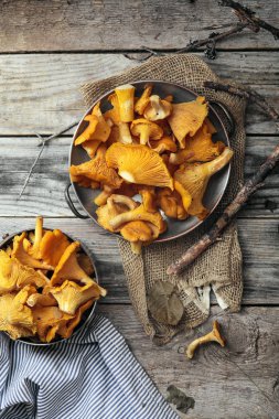 Chantarelle mantar sokup aldı