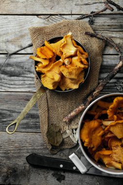 Chantarelle mantar aldı