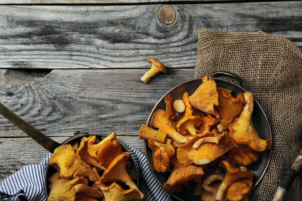 Chantarelle mantar sokup aldı