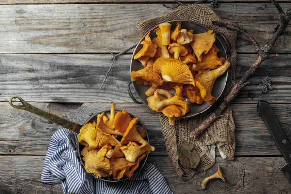 Chantarelle mantar sokup aldı