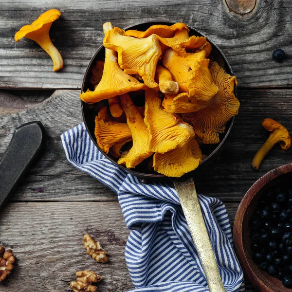 Yaban mersini ve Cantharellus cibarius mantar