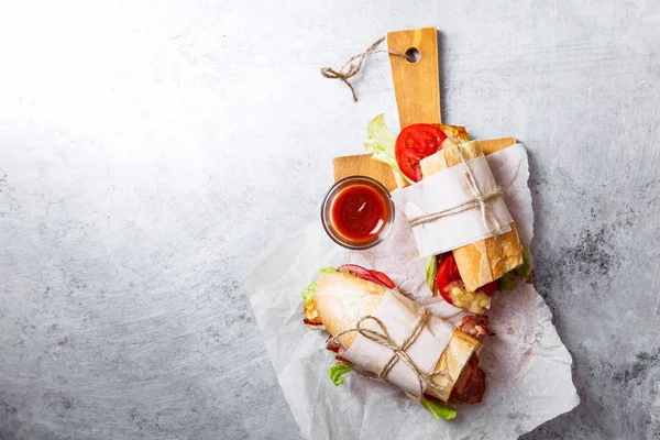 Baguette sandwich bahn-mi stylet . - Stock-foto