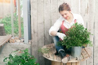  Bayan Garden'da çalışma