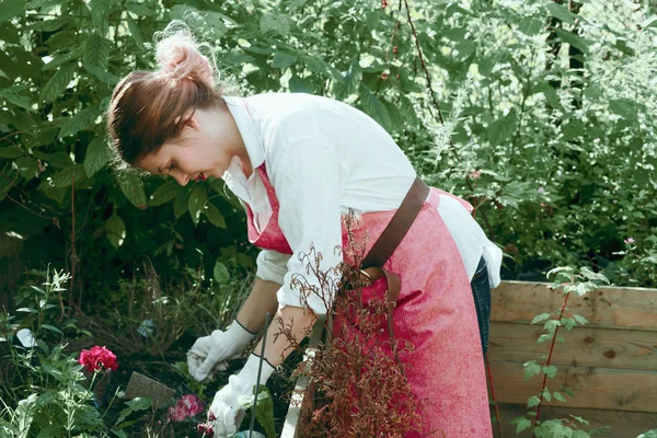  Bayan Garden'da çalışma