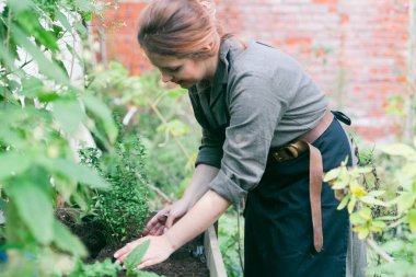 Genç sevimli Bayan çalışma 