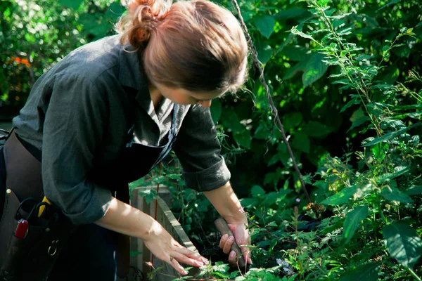 Genç sevimli Bayan çalışma 