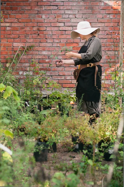 Dame travaillant au jardin — Photo