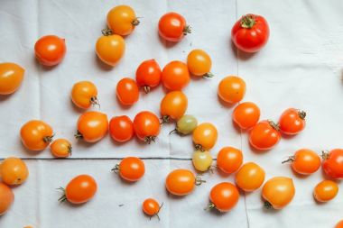 taze organik domates 