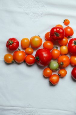 taze organik domates 