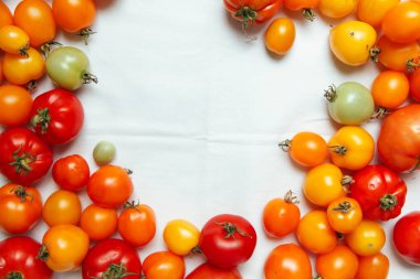 taze organik domates 