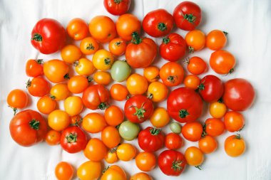 taze organik domates 