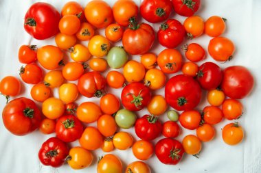 taze organik domates 