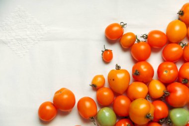 taze organik domates 