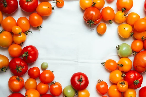 taze organik domates 