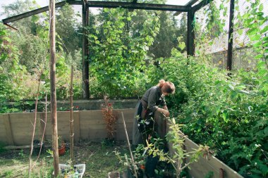 Genç sevimli Bayan bahçıvan