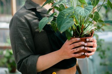 Kadın elinde bitki bahçıvanla