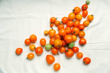 taze organik domates