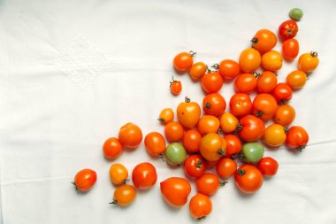 taze organik domates