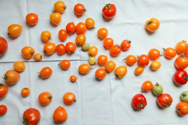 taze organik domates