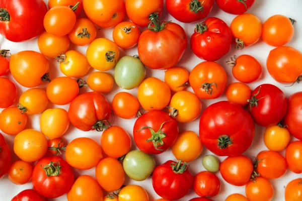 taze organik domates