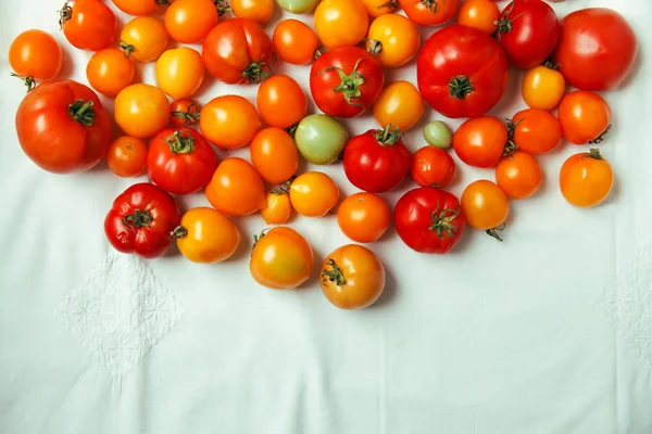 taze organik domates