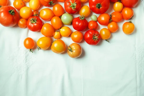 Tomates orgânicos frescos — Fotografia de Stock