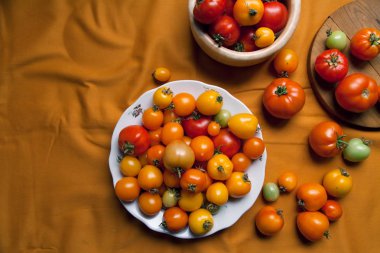 Tabak taze organik domates