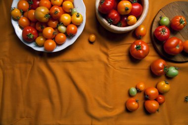 Tabak taze organik domates