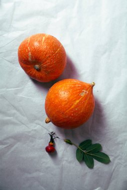 Sonbahar kabaklar rustik kompozisyon