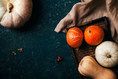 Sonbahar kabaklar rustik kompozisyon