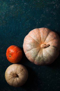Sonbahar kabaklar rustik kompozisyon