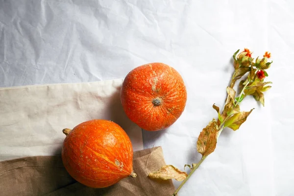 Sonbahar kabaklar rustik kompozisyon