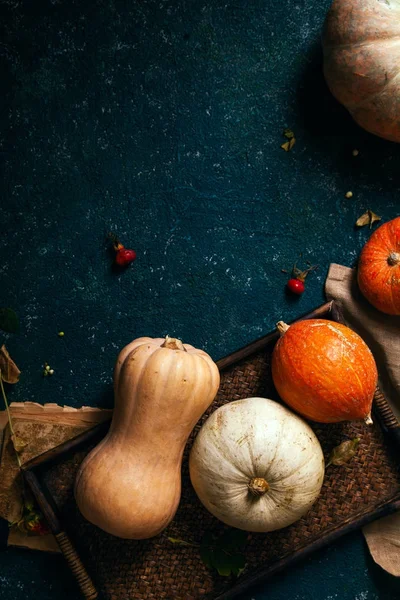 Sonbahar kabaklar rustik kompozisyon
