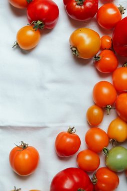 Sonbahar kabaklar rustik kompozisyon