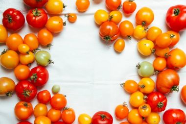 Sonbahar kabaklar rustik kompozisyon