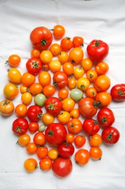 Sonbahar kabaklar rustik kompozisyon