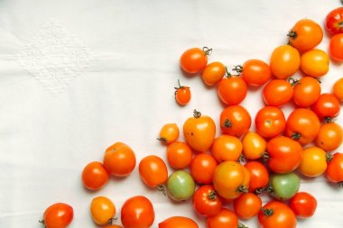 Sonbahar kabaklar rustik kompozisyon