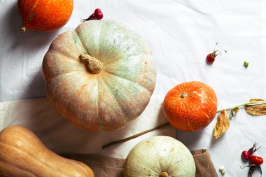 Sonbahar kabaklar rustik kompozisyon