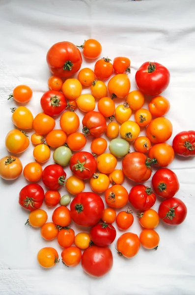 Sonbahar kabaklar rustik kompozisyon