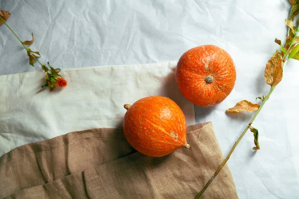 Sonbahar kabaklar rustik kompozisyon