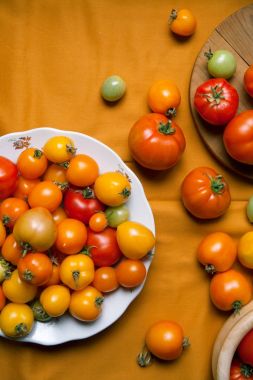 Plaka üzerinde taze organik domates