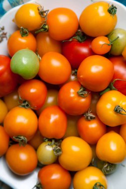 Plaka üzerinde taze organik domates