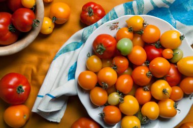 Tabak taze organik domates