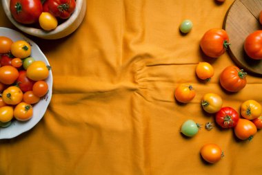 Tabak taze organik domates