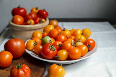 Tabak taze organik domates