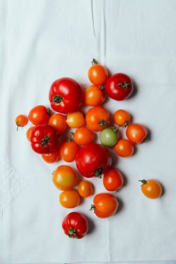 taze organik domates