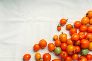 taze organik domates