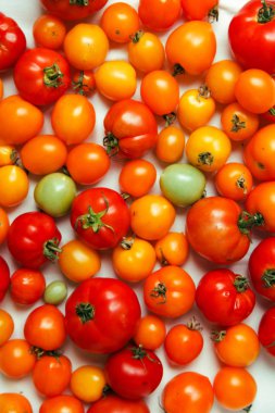 taze organik domates