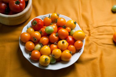 Tabak taze organik domates