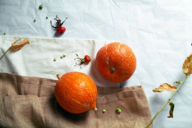 Sonbahar kabaklar rustik kompozisyon